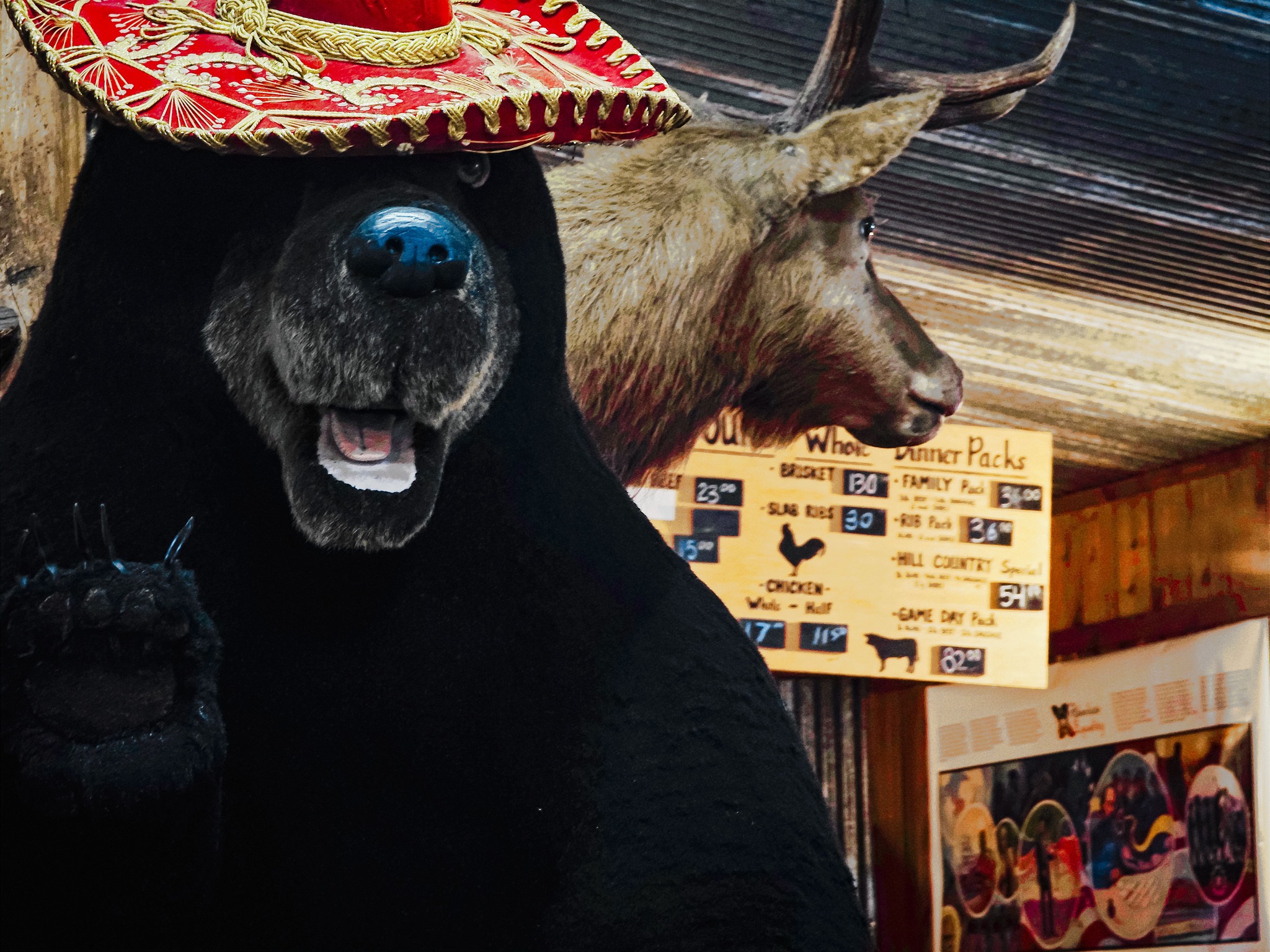 Interior — Stuffed Bear Wearing Sombrero Next to Mounted Deer Head and Menu Board