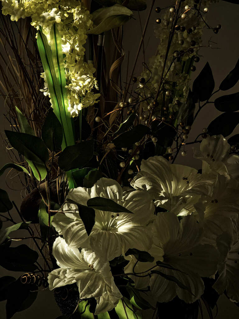 Artificial Flowers — White Petals and Green Leaves in Dramatic Lighting