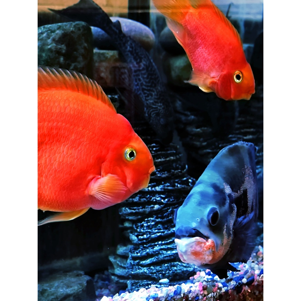 Abstract Photography — Soft Glow and Blurred Color in Minimal Composition