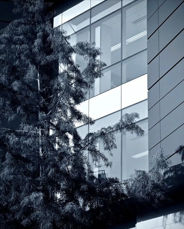 Photography — Soft Light on Urban Scene Capturing Public Space and Architecture